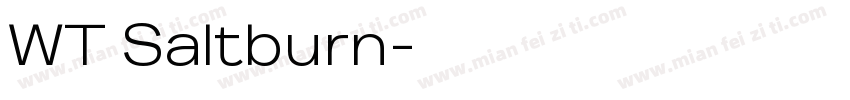 WT Saltburn字体转换